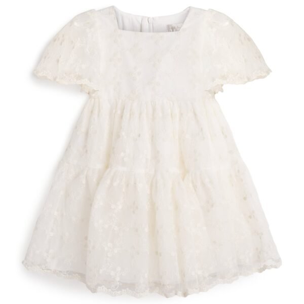 Organza Embroidered Dress (4-16 Years)