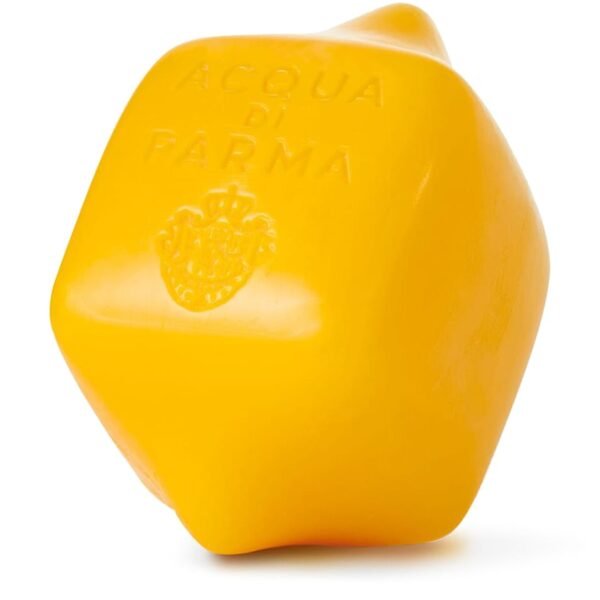 Blu Mediterraneo Arancia di Capri Citrus Soap (220g)