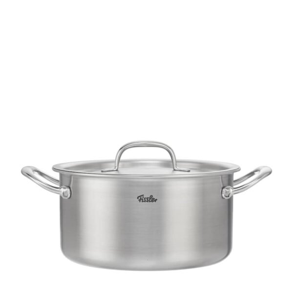 Stainless Steel M5 Pro-Ply Stew Pot (24cm)