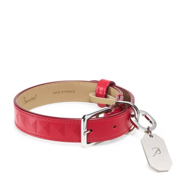 Leather Louxor Pet Collar (Medium)
