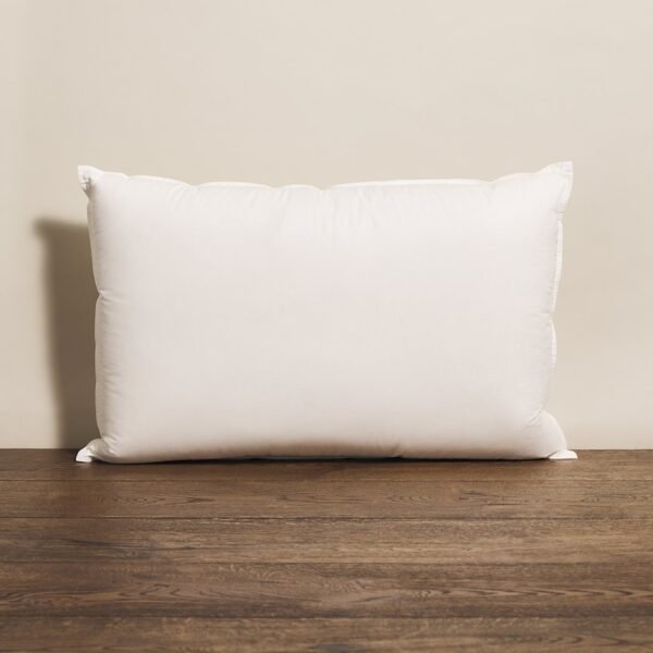 Renouveler Of London Matterhorn Goose Down Pillow